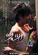 열매